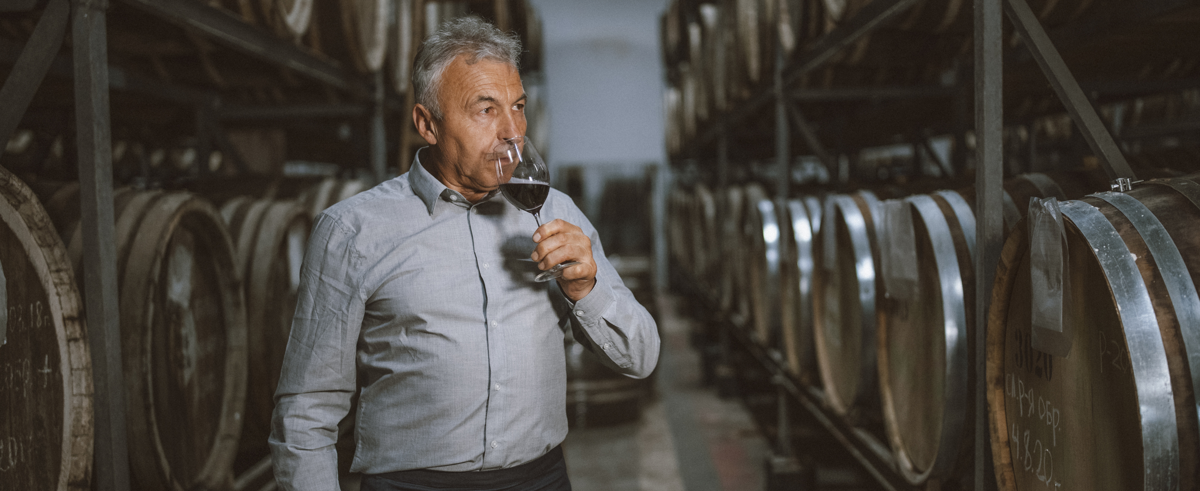 Senior Sommelier Testing Red Wine In Cellar, Smelling Red Wine.